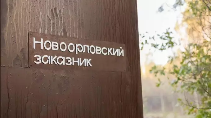 Петербург стал лидером зеленого рейтинга туризма в России