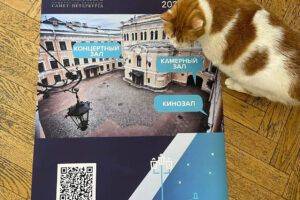 Эрмитажная кошка Анжелина отметила 10-летие службы в Капелле