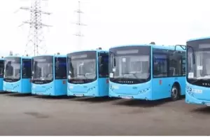 Из Петербурга в Таллин автобусы переходят на дневные рейсы