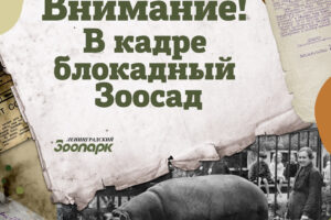 В Ленинградском зоопарке продлили выставку о блокадном зоосаде до марта 2026