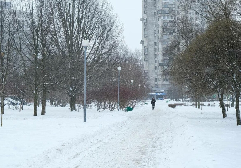 Реконструкция освещения в сквере у Черной речки