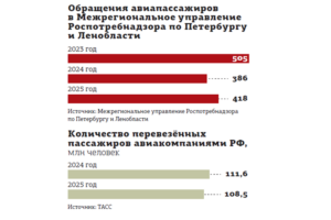 Пассажиры в пролёте: за что петербуржцы жалуются на авиаперевозчиков