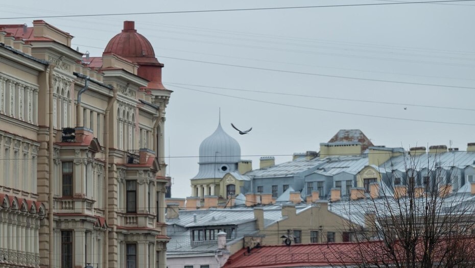 Аренда квартир в Петербурге