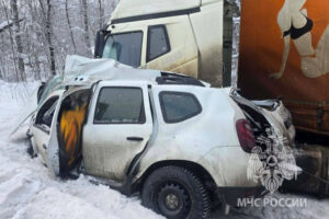 Под Тихвином Renault впечаталась в грузовик во время обгона, водитель погиб