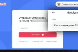 В МВД предупредили о мошенниках, предлагающих списать долги через МФЦ