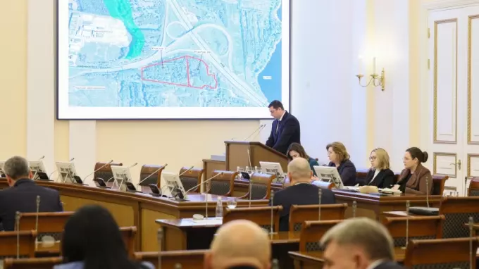 В Петербурге построят приют и ветклинику для бездомных животных
