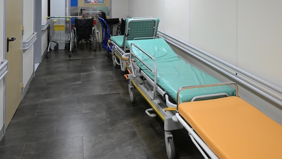 В больницу Петербурга поступили два пациента с оспой обезьян