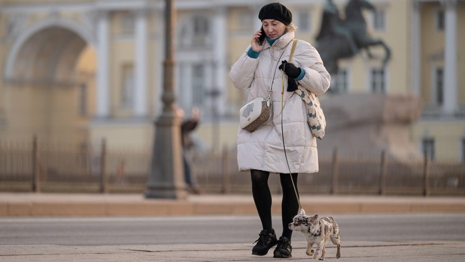 Места для выгула собак
