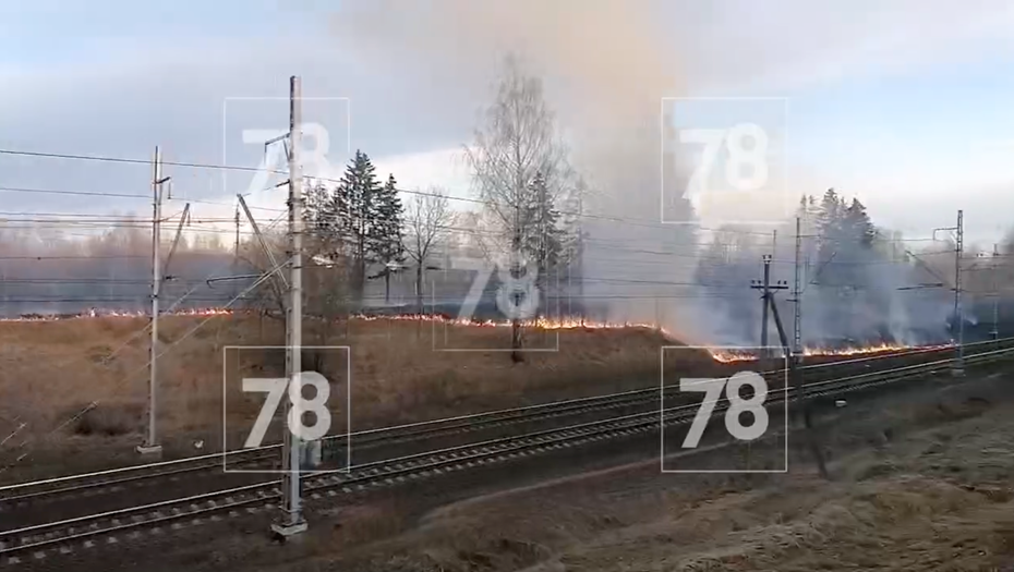 Пожар у станции Суйда
