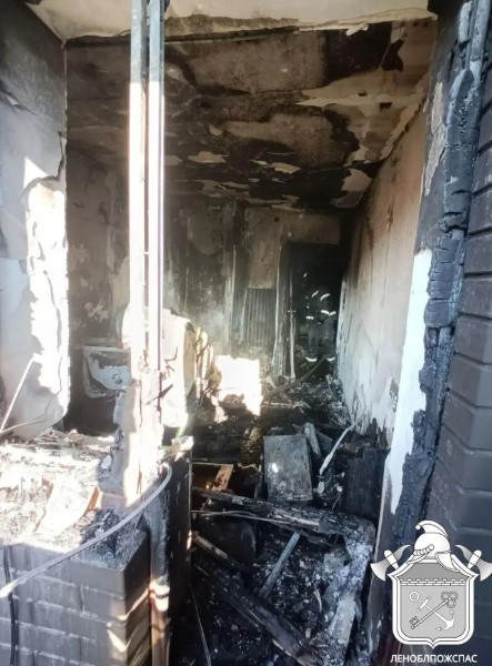 Пожар в Мурино: эвакуация жильцов
